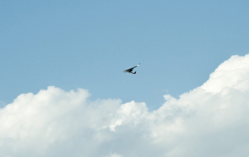 drone in sky
